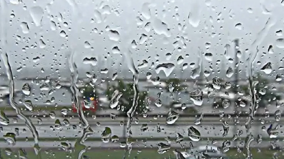 Single Portfolio Wide Video - 蓝鲸体育直播